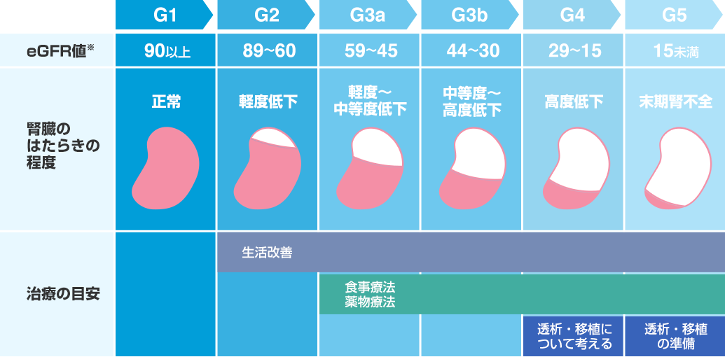 慢性腎臓病のステージ